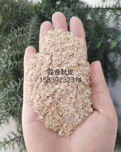 廠家直銷全國(guó)發(fā)貨 畜牧養(yǎng)殖飼料用小麥麩皮，為雞鴨魚水產(chǎn)牛羊豬養(yǎng)殖提供優(yōu)質(zhì)營(yíng)養(yǎng)